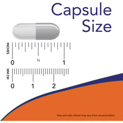Eggshell Membrane